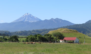 Pahitere_Cottage_far_view_2019.JPG