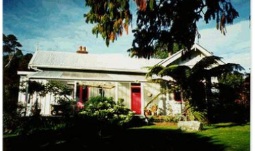 15 Lismore Street NPDC Heritage Site Report
