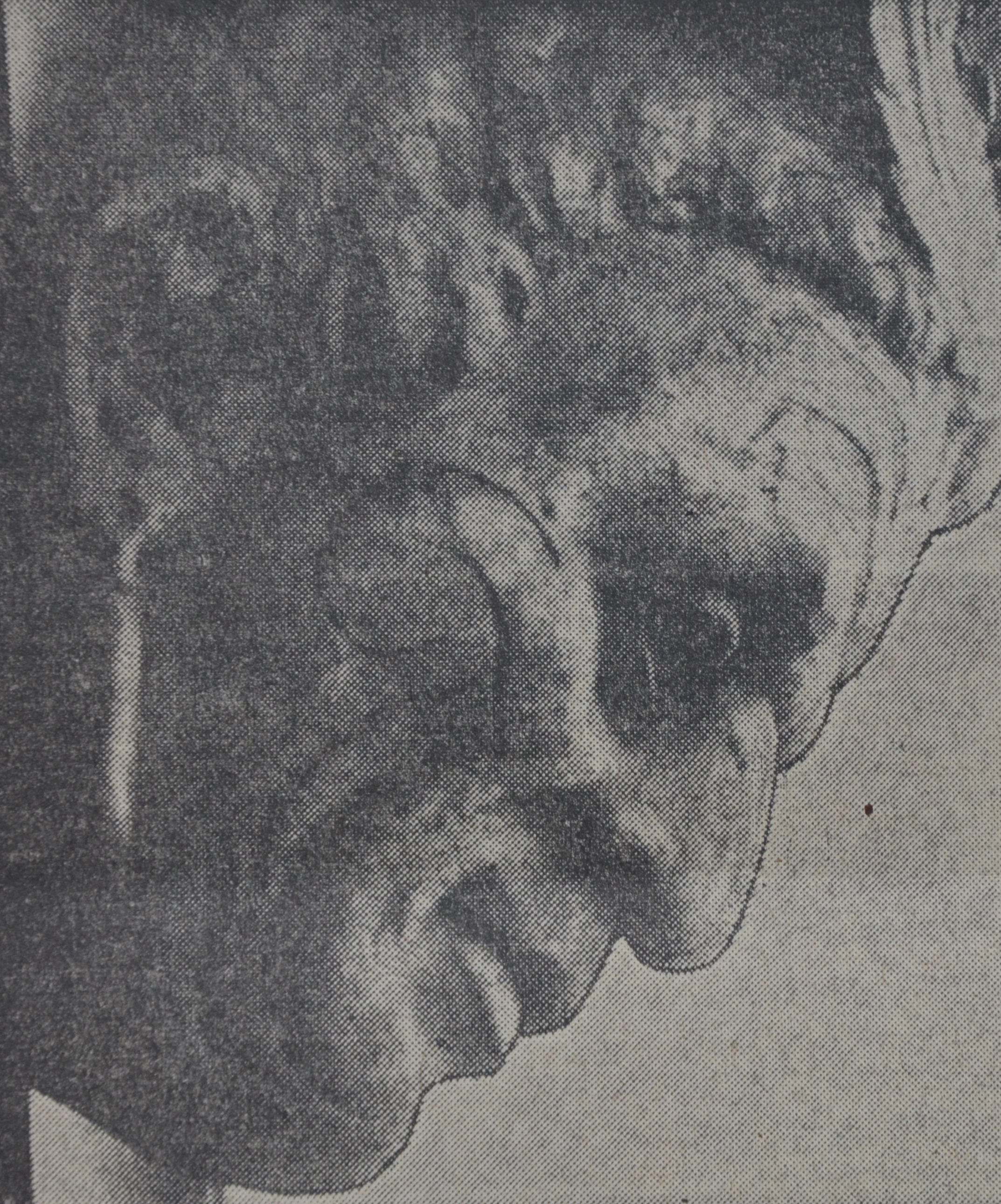 NZI_Maori_Head.JPG