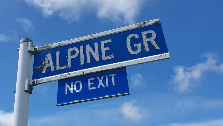 Alpine Grove1