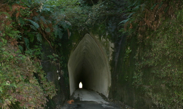 Kiore_South_047a.jpg