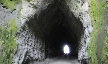 Kiwi_Rd_South_010.JPG