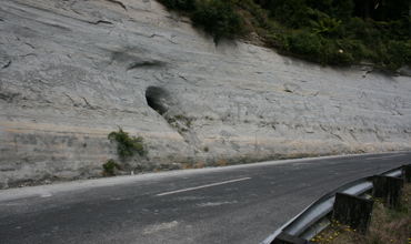 Grayling_s_009.jpg