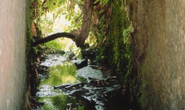 Water_Drive_Aotuhia_1.jpg