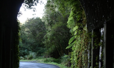 Makahu_West_037.jpg