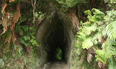 Whanga_Rd_Tunnel__1_068.jpg