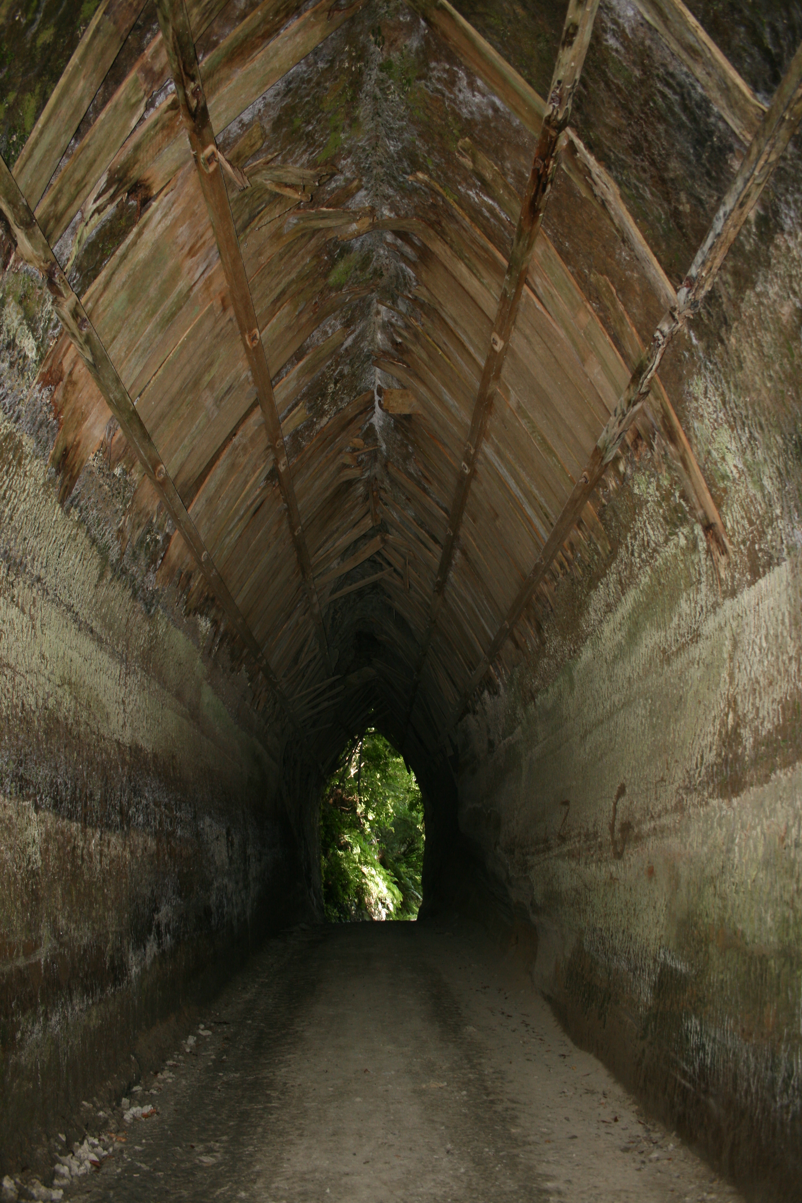 Whanga_Rd_Tunnel__1_077.jpg