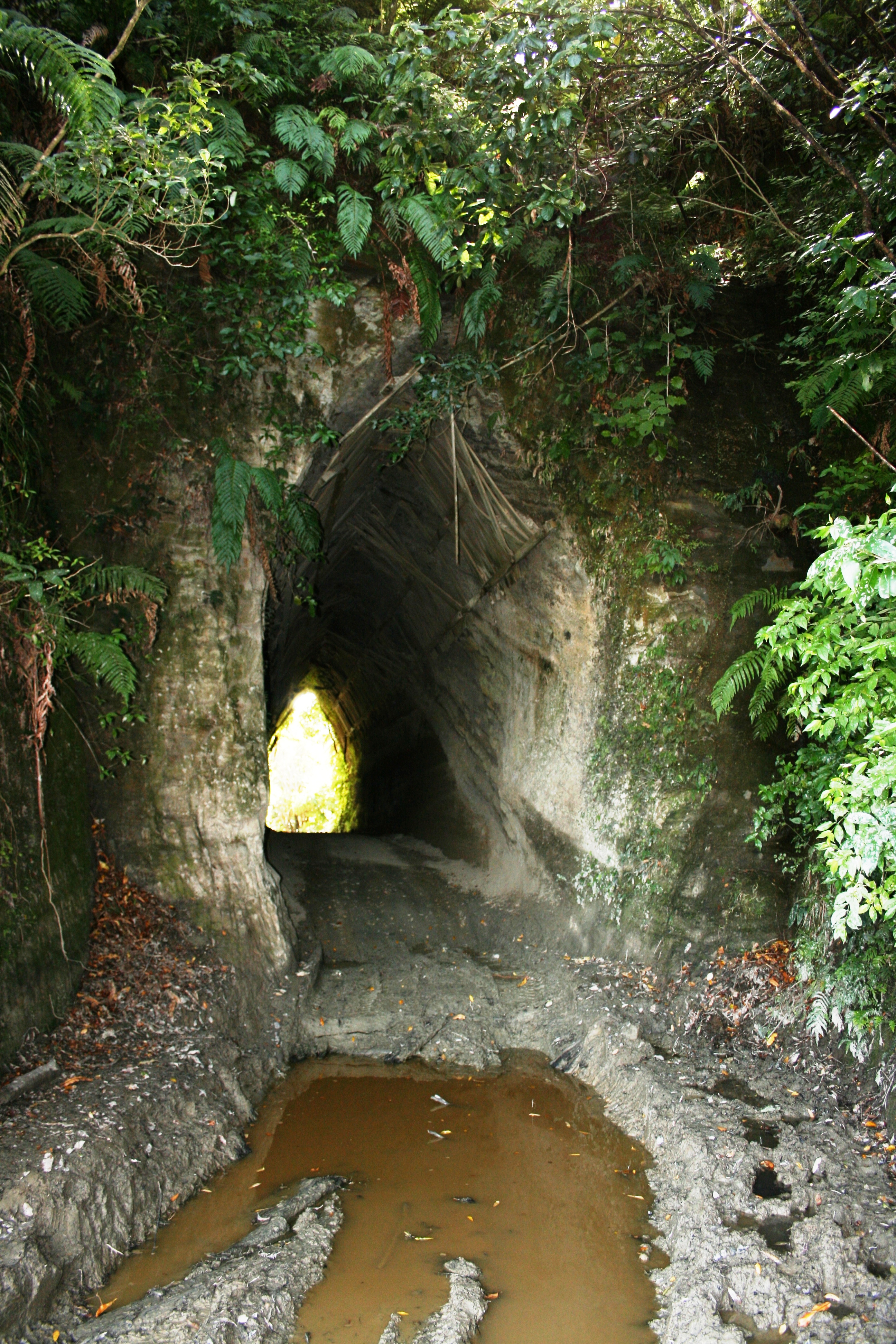 Whanga_Rd_Tunnel__1_029.jpg