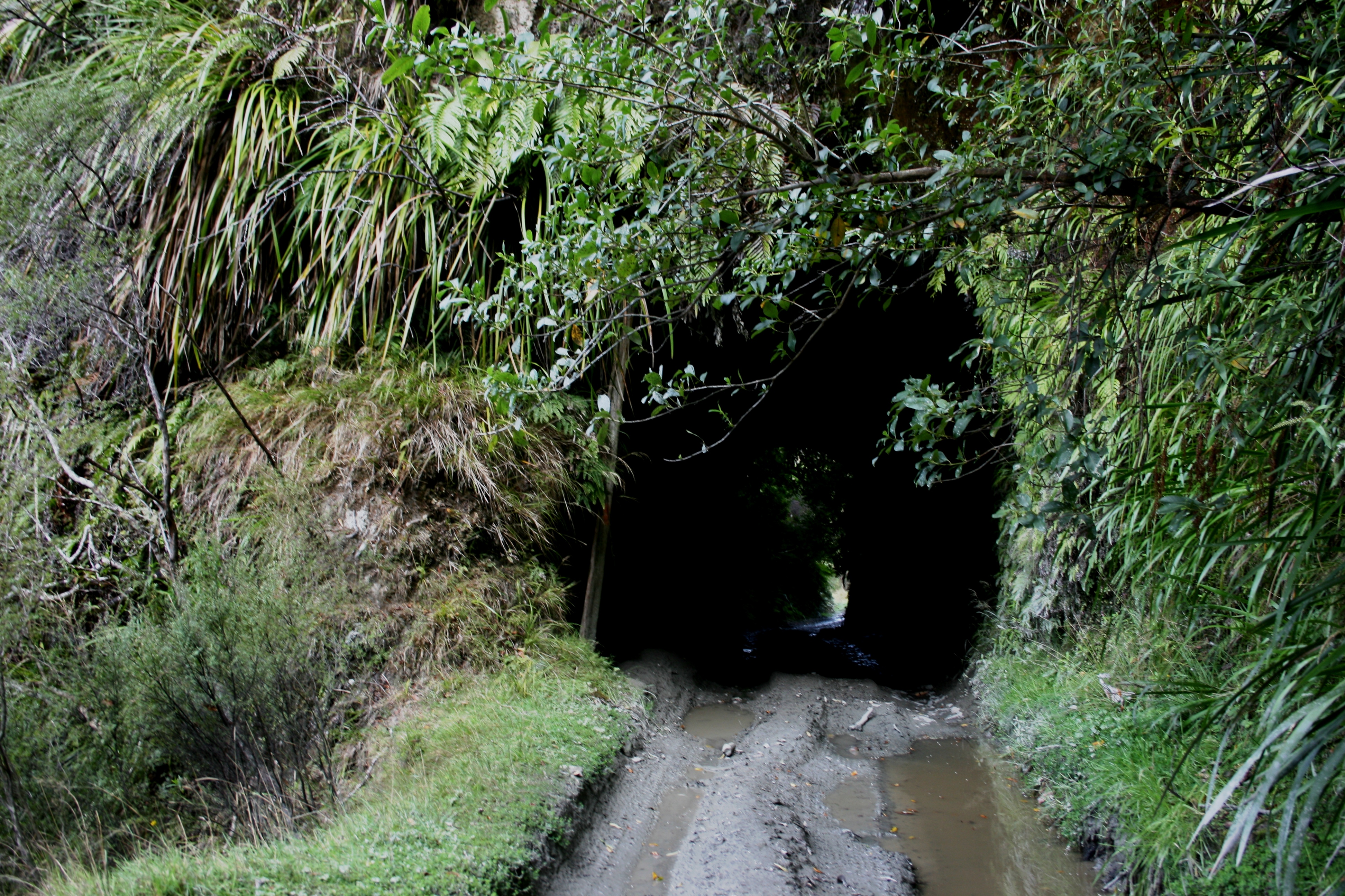 Whanga_Rd_Tunnel__2_055.jpg