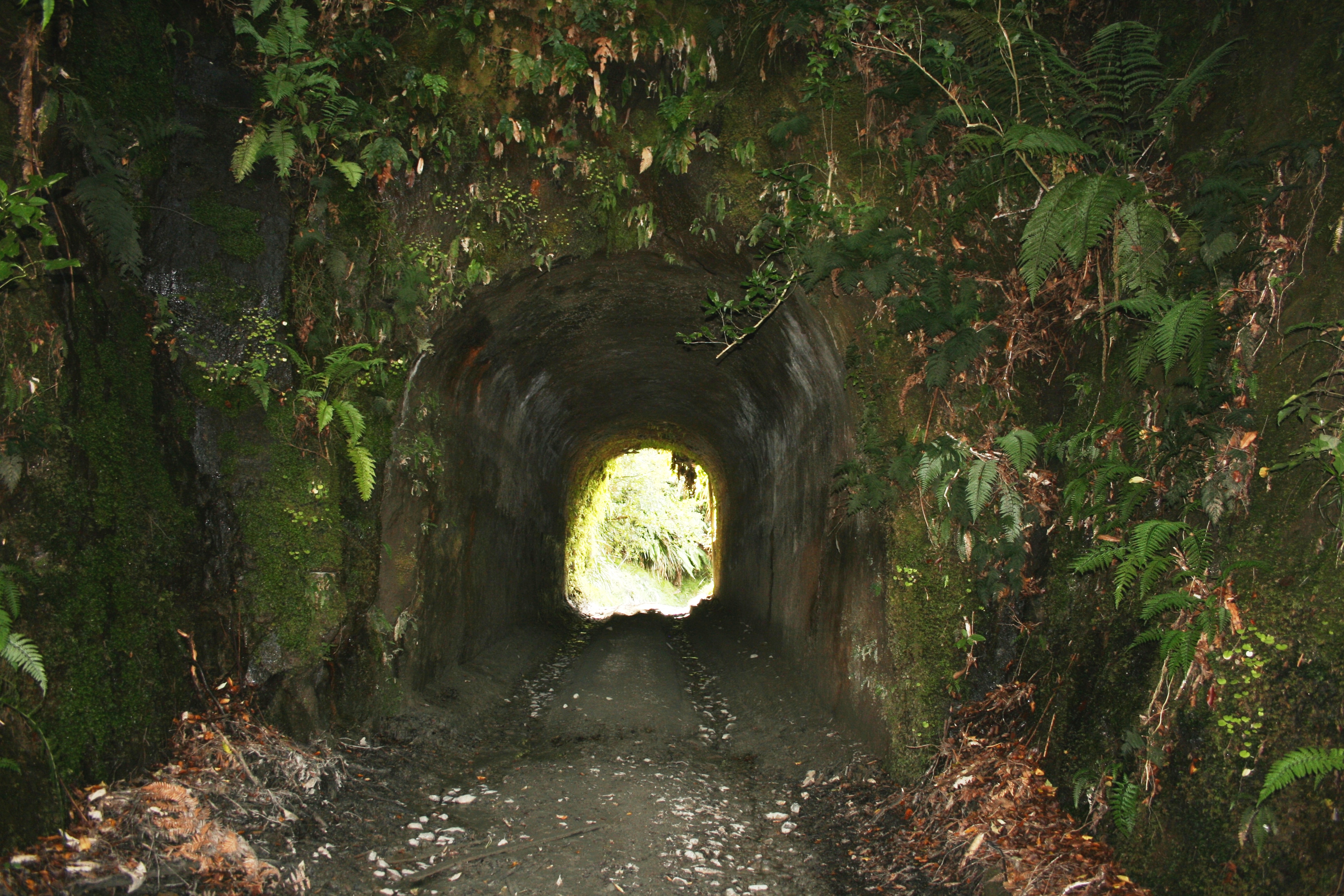 Whanga_Rd_Tunnel__2_037.jpg