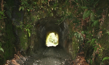 Whanga_Rd_Tunnel__2_037.jpg