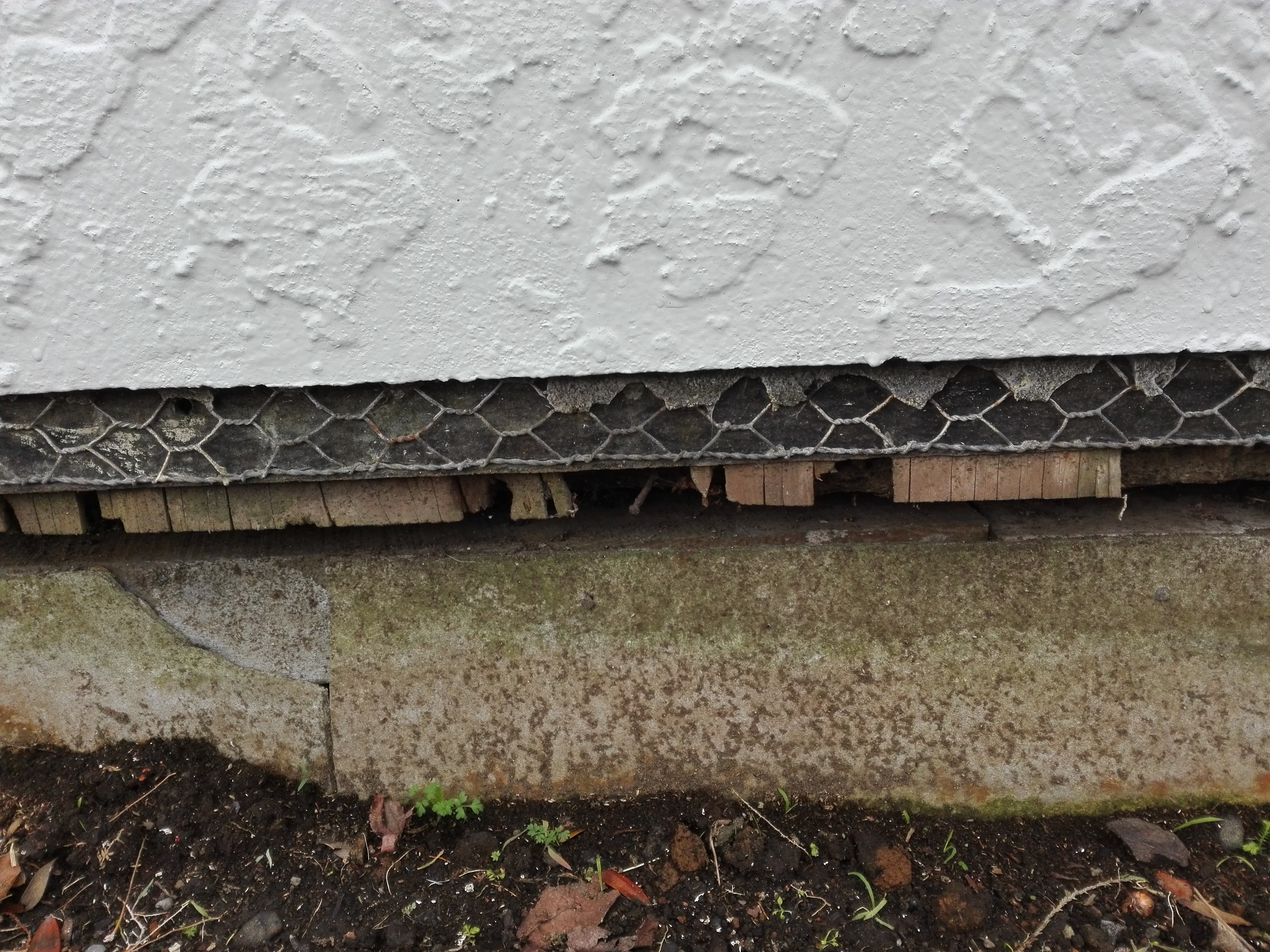 210A_Tukapa_Street_showing_base_of_vertical_boards_on_original_southern_wall.jpg