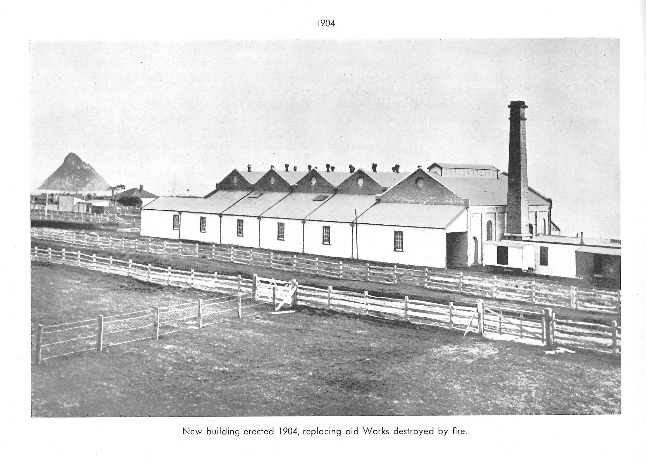 Freezing_Works_1904.jpg