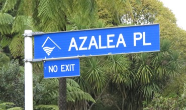 Azalea Place sign (2024). Rachel Sonius. Word on the Street image collection.