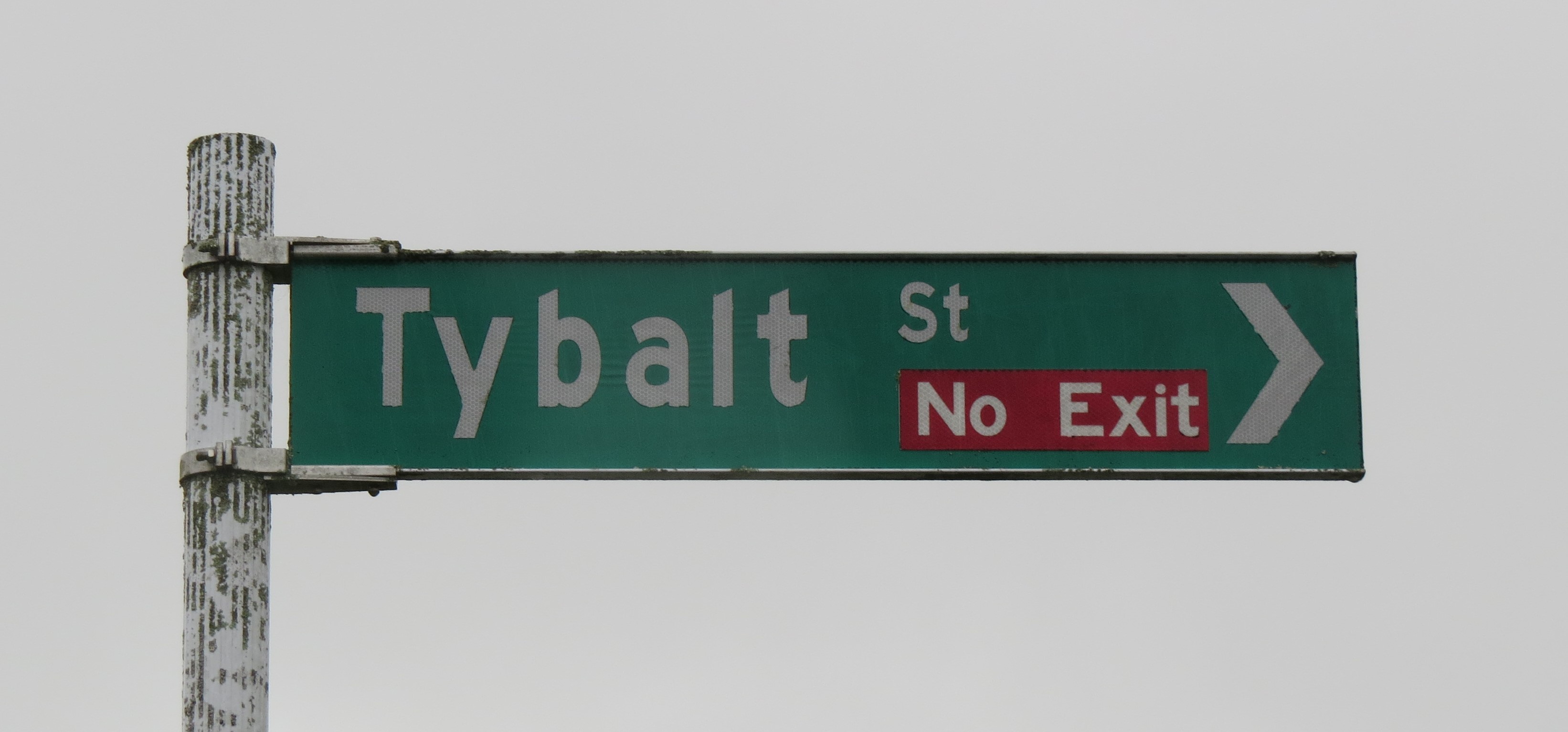 Tybalt Street sign (2024). Rachel Sonius. Word on the Street image collection.