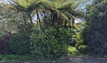 45 Mclean Street Google Street View Nov 2019