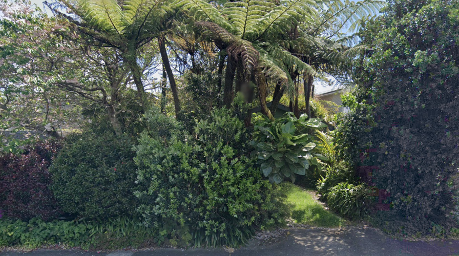 45 Mclean Street Google Street View Nov 2019
