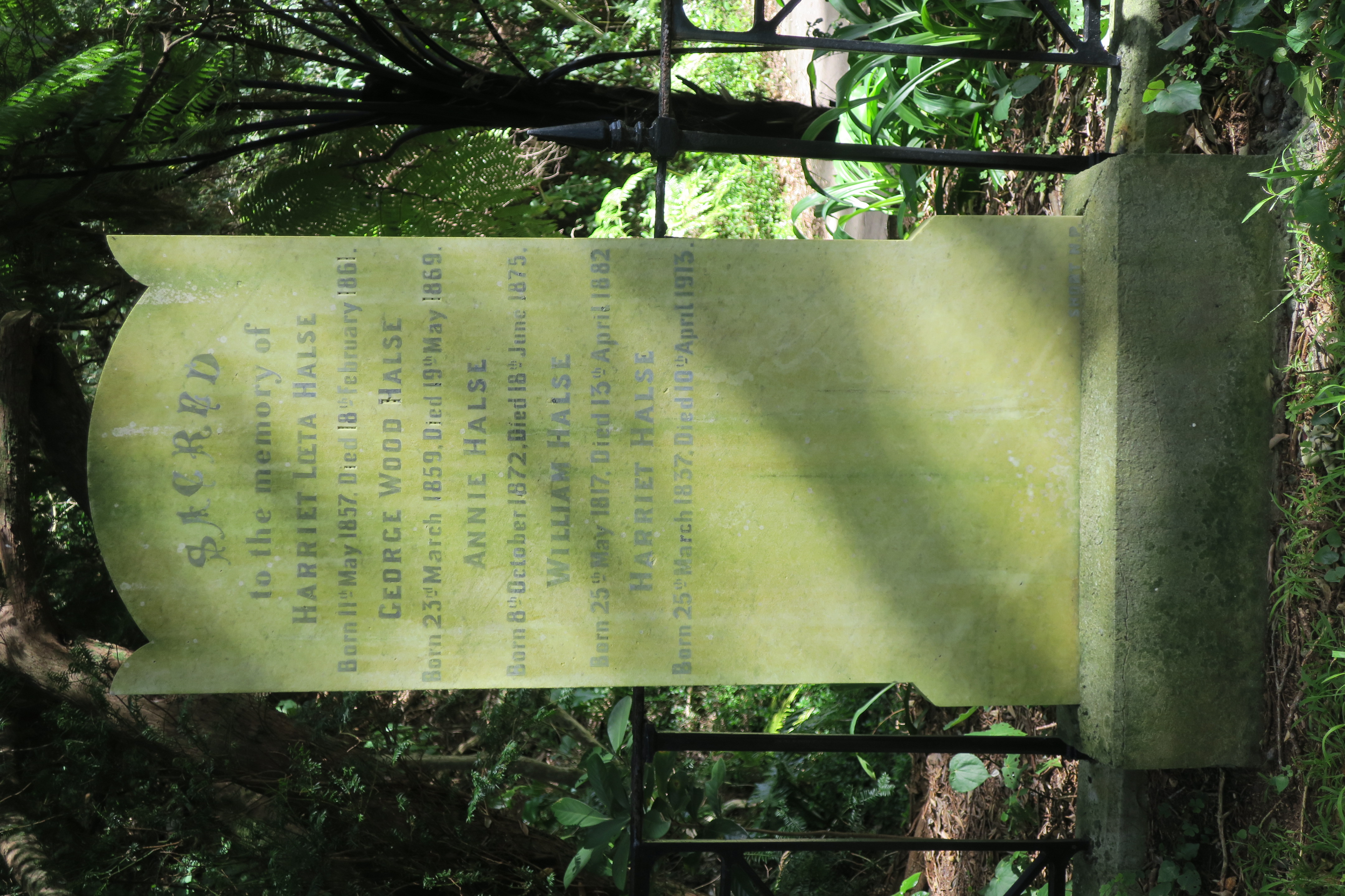 Halse family headstone  in the churchyard of Taranaki Cathedral (2025). Rachel Sonius. Word on the Street image collection.