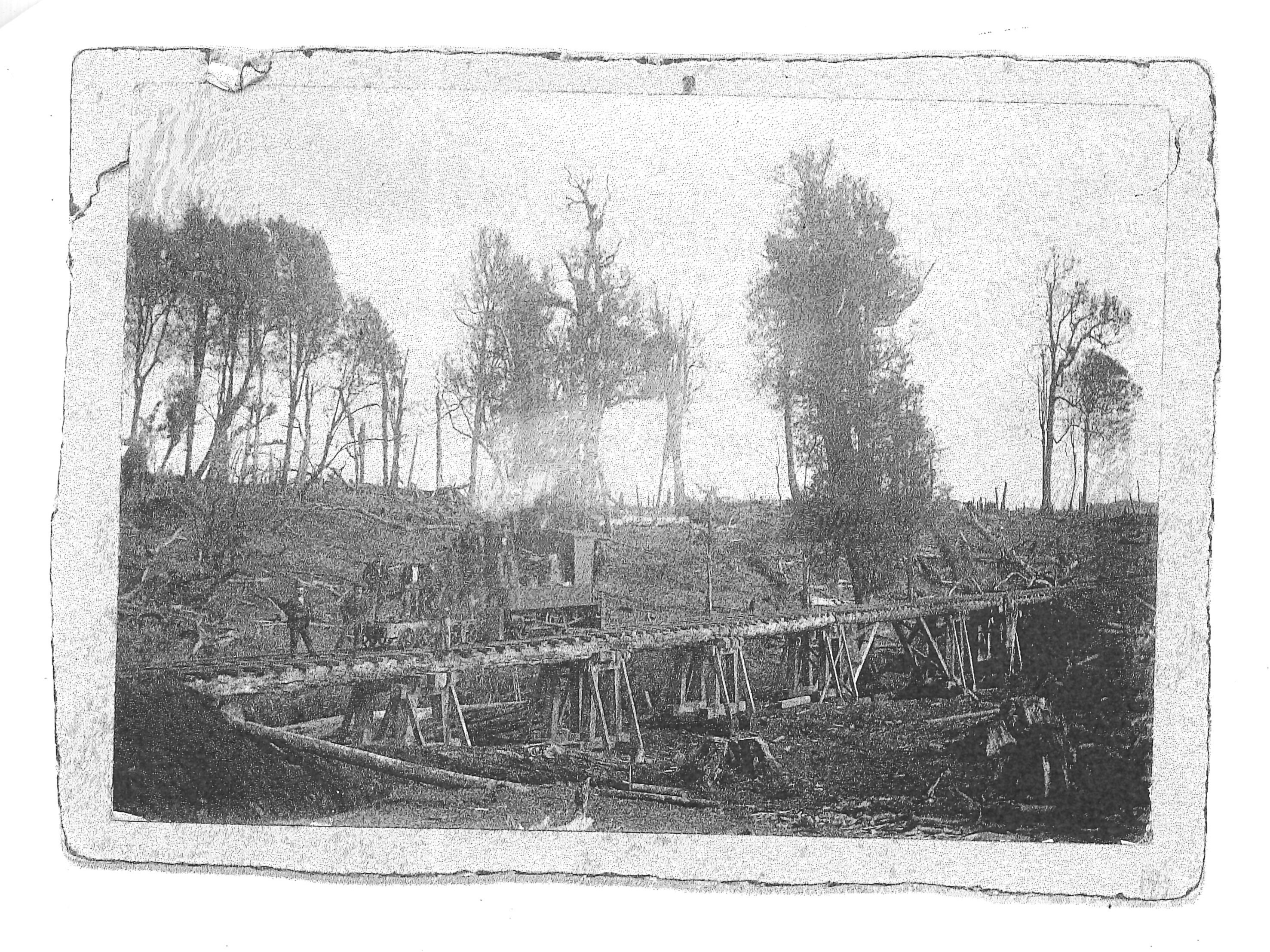 Saw Mill At Ngaere From Peter Bowden Family Collection