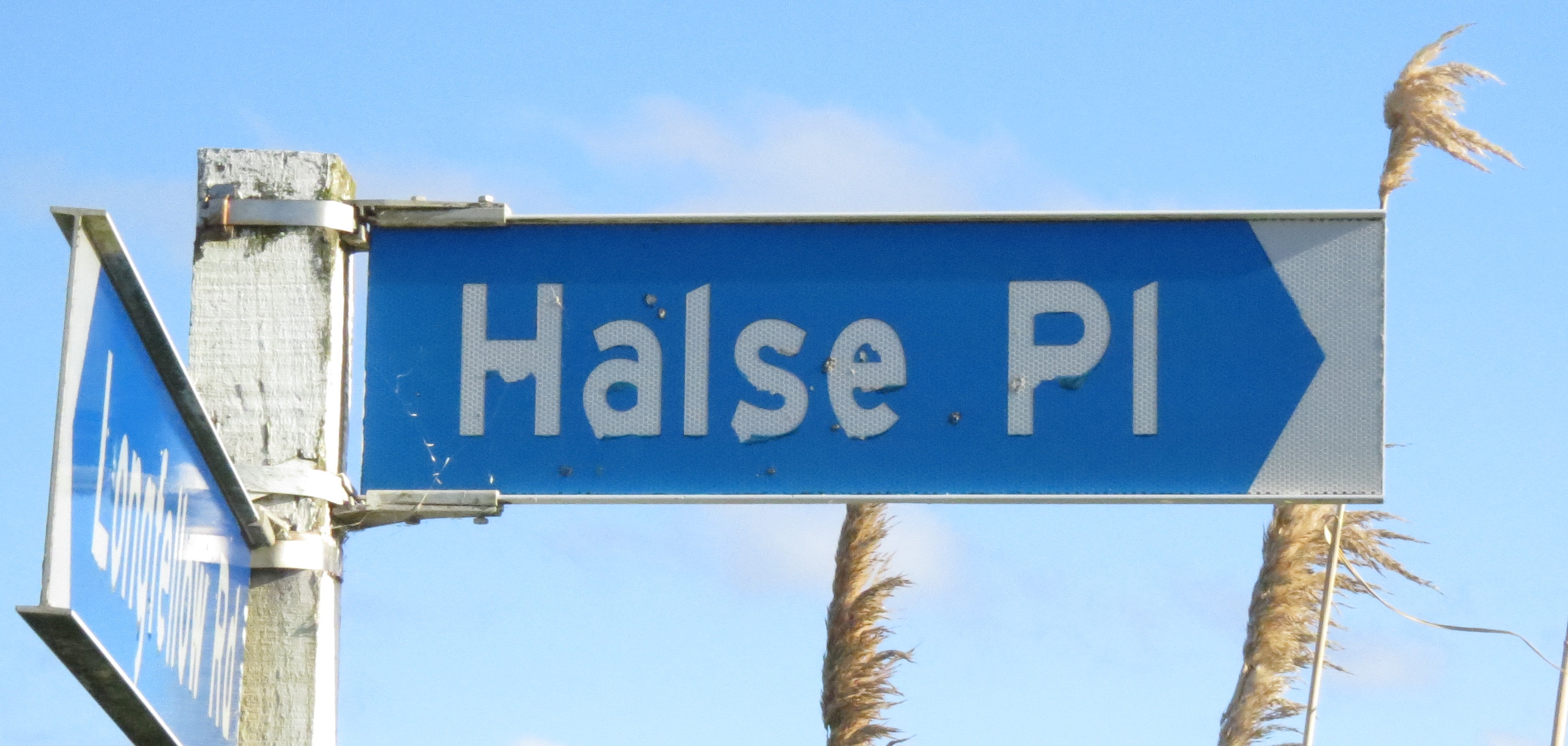 Halse Place street sign (2020). Rachel Sonius. Word on the Street image collection.