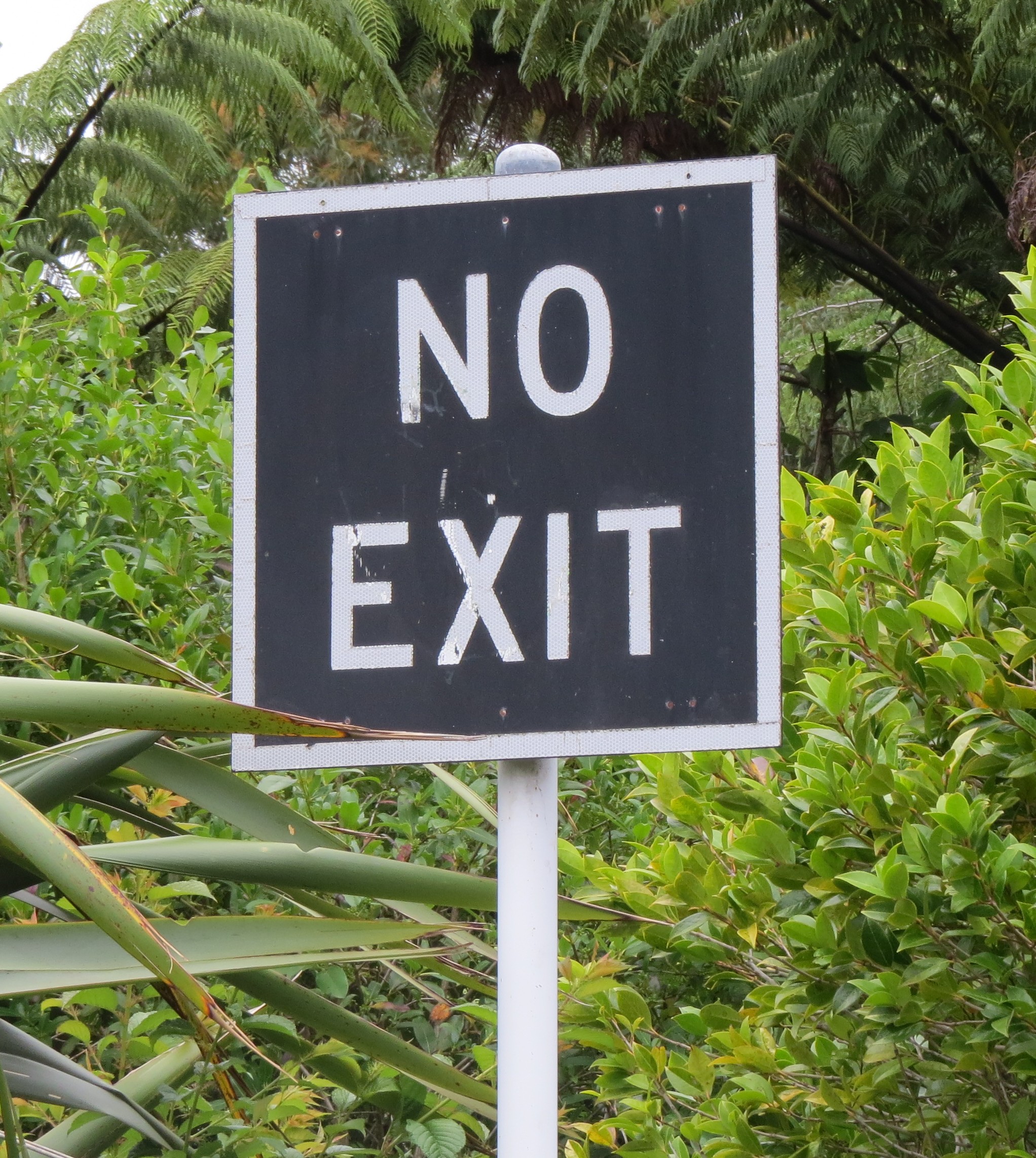 Kereru Place sign (2025). Rachel Sonius. Word on the Street image collection.