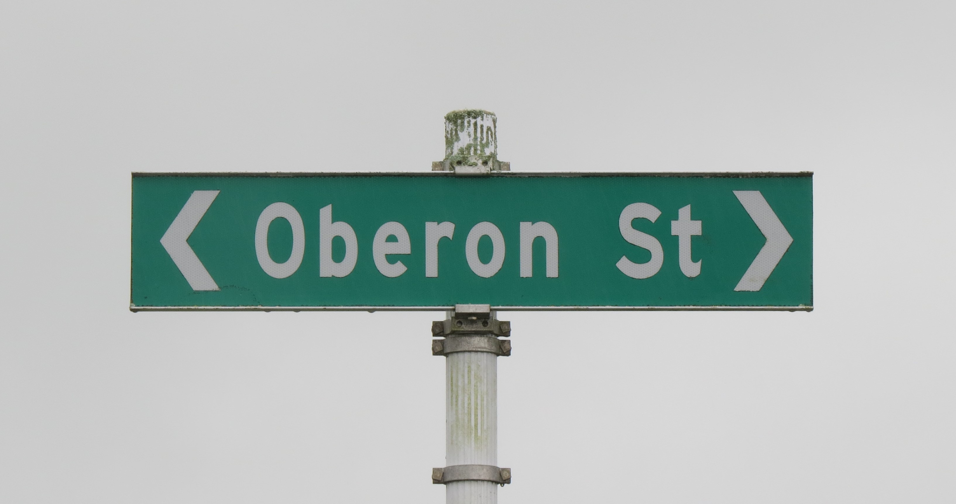 Oberon Street sign (2024). Rachel Sonius. Word on the Street image collection.