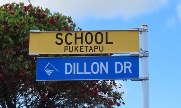 Dillon Drive (2025). Rachel Sonius. Word on the Street image collection.