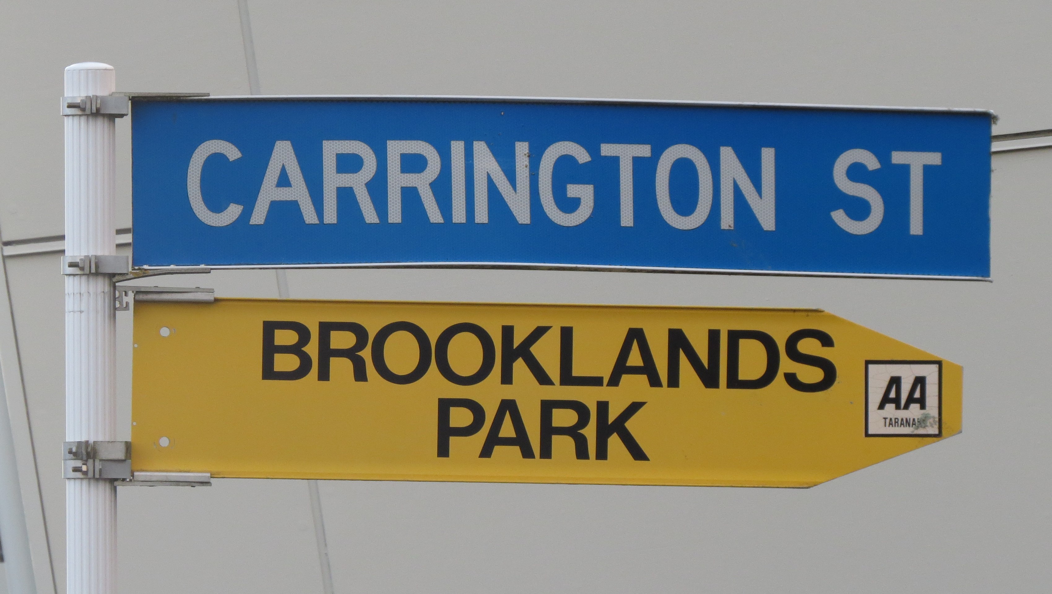 Carrington Street sign (2021). Rachel Sonius. Word on the Street image collection.