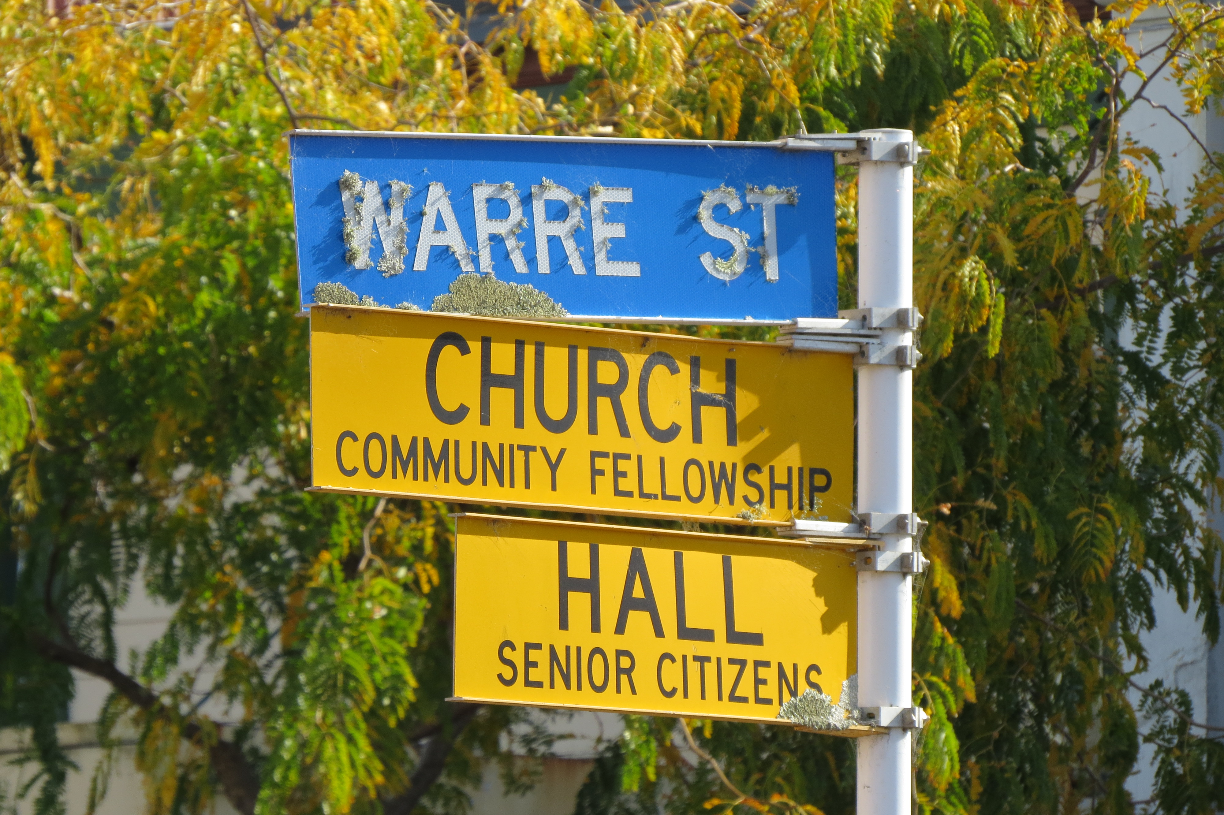 Warre Street sign (2019). Rachel Sonius. Word on the Street image collection.