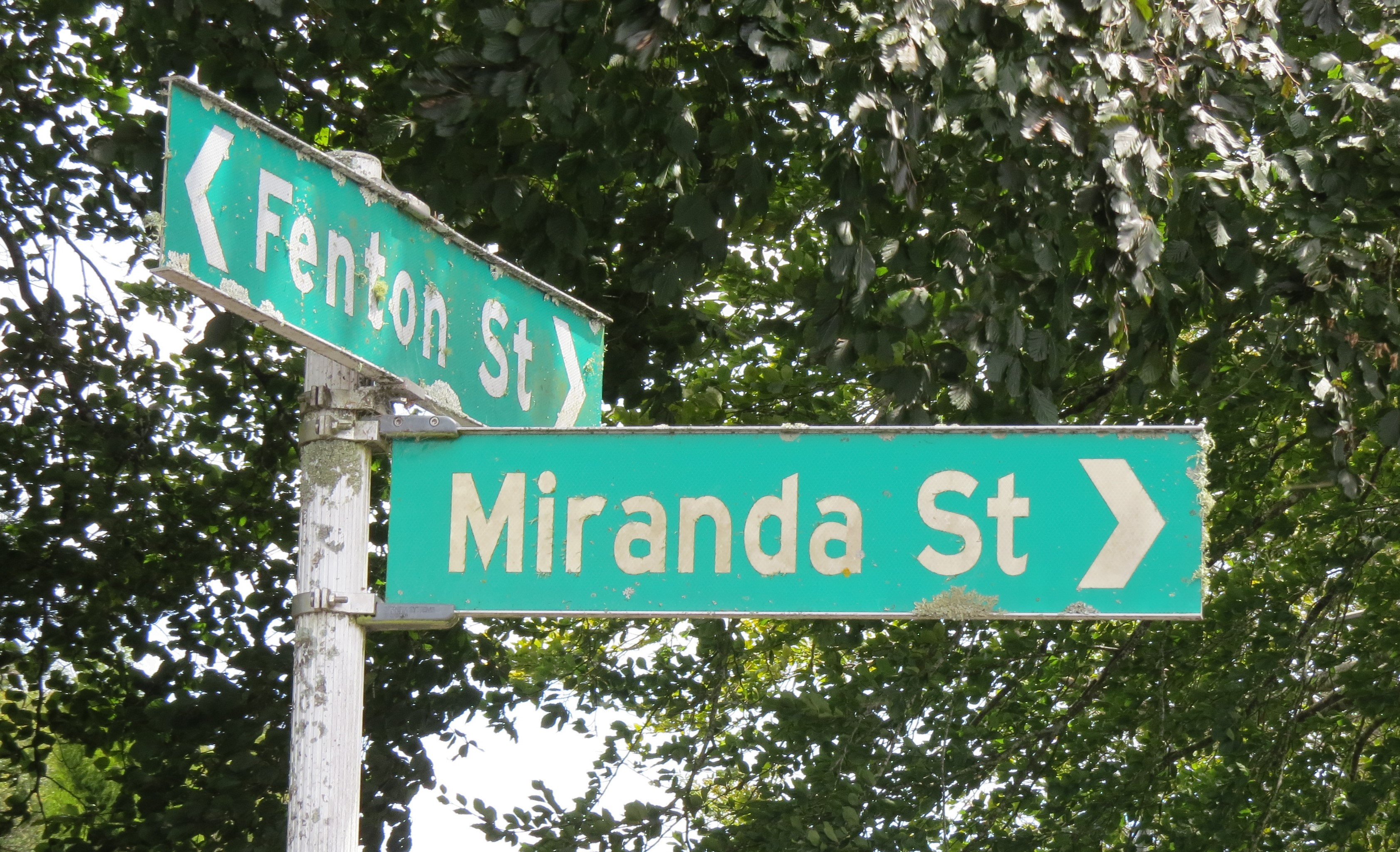 Miranda Street (2024). Rachel Sonius. Word on the Street image collection.