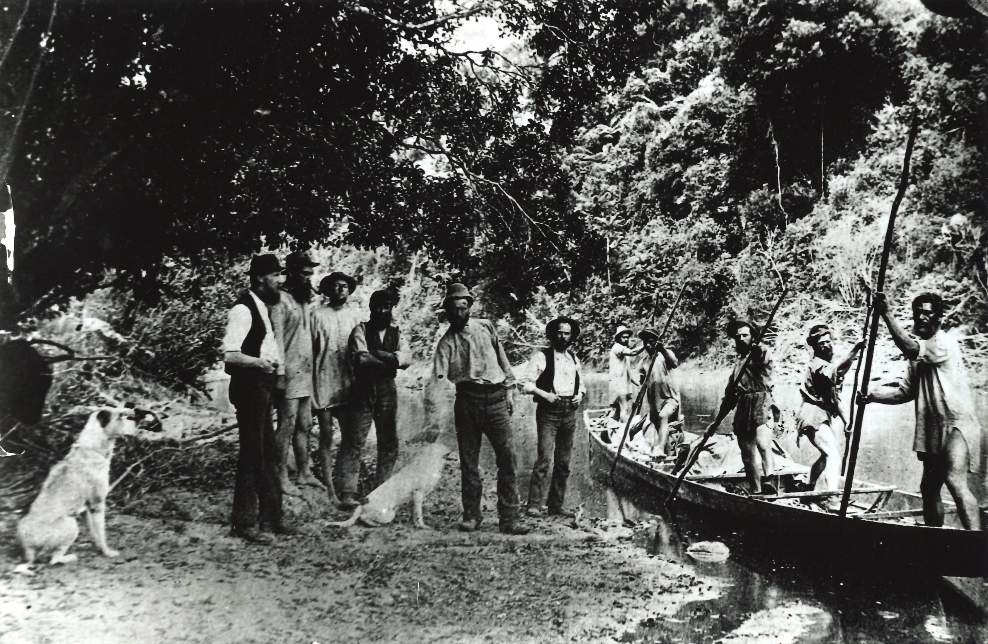 P.2.3253 HM Skeet Survey Party On Mokau River, 1884