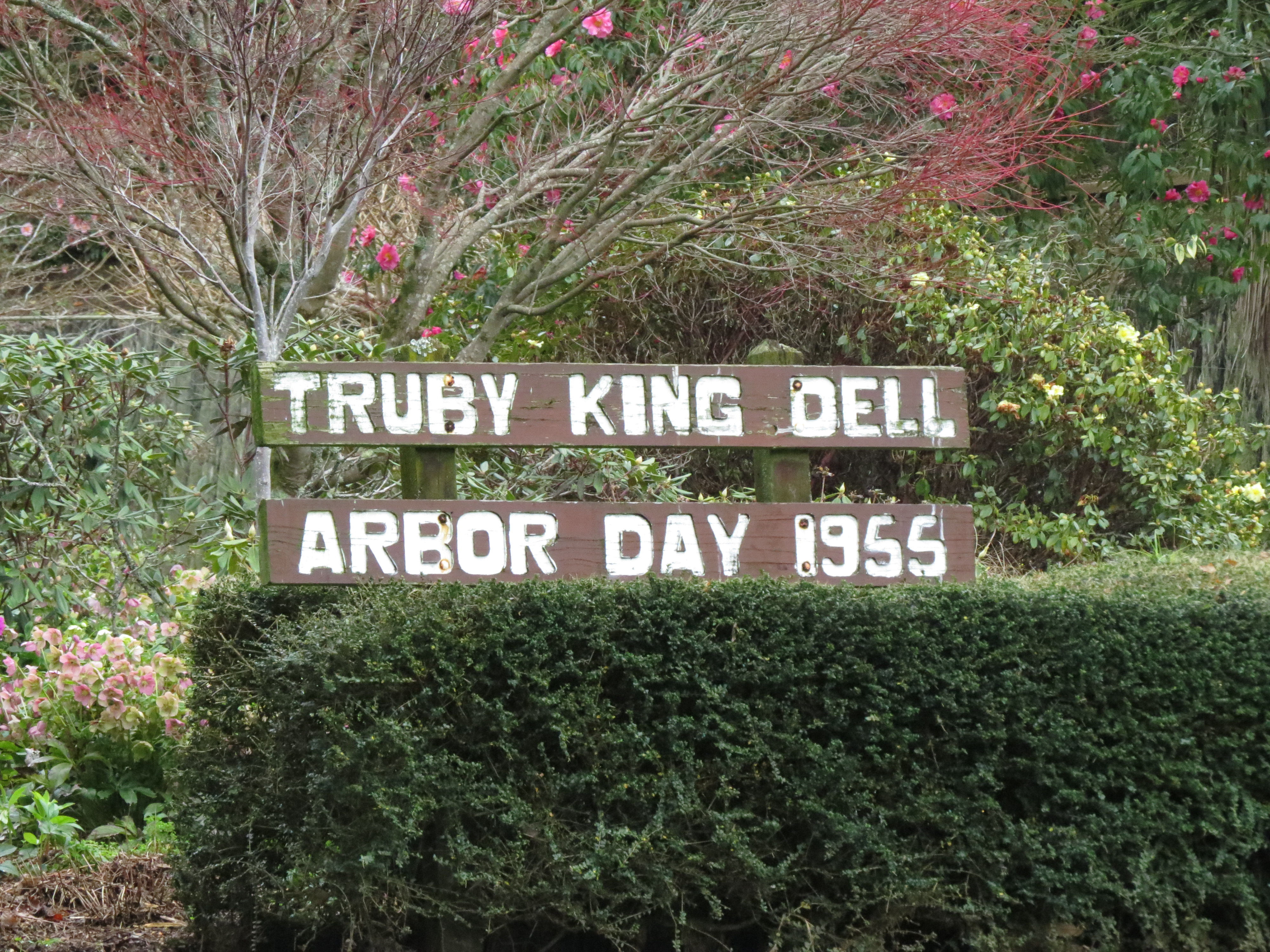 Truby King Dell sign (2024). Rachel Sonius. Word on the Street image collection.