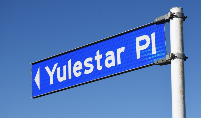 Yulestar Place For Web