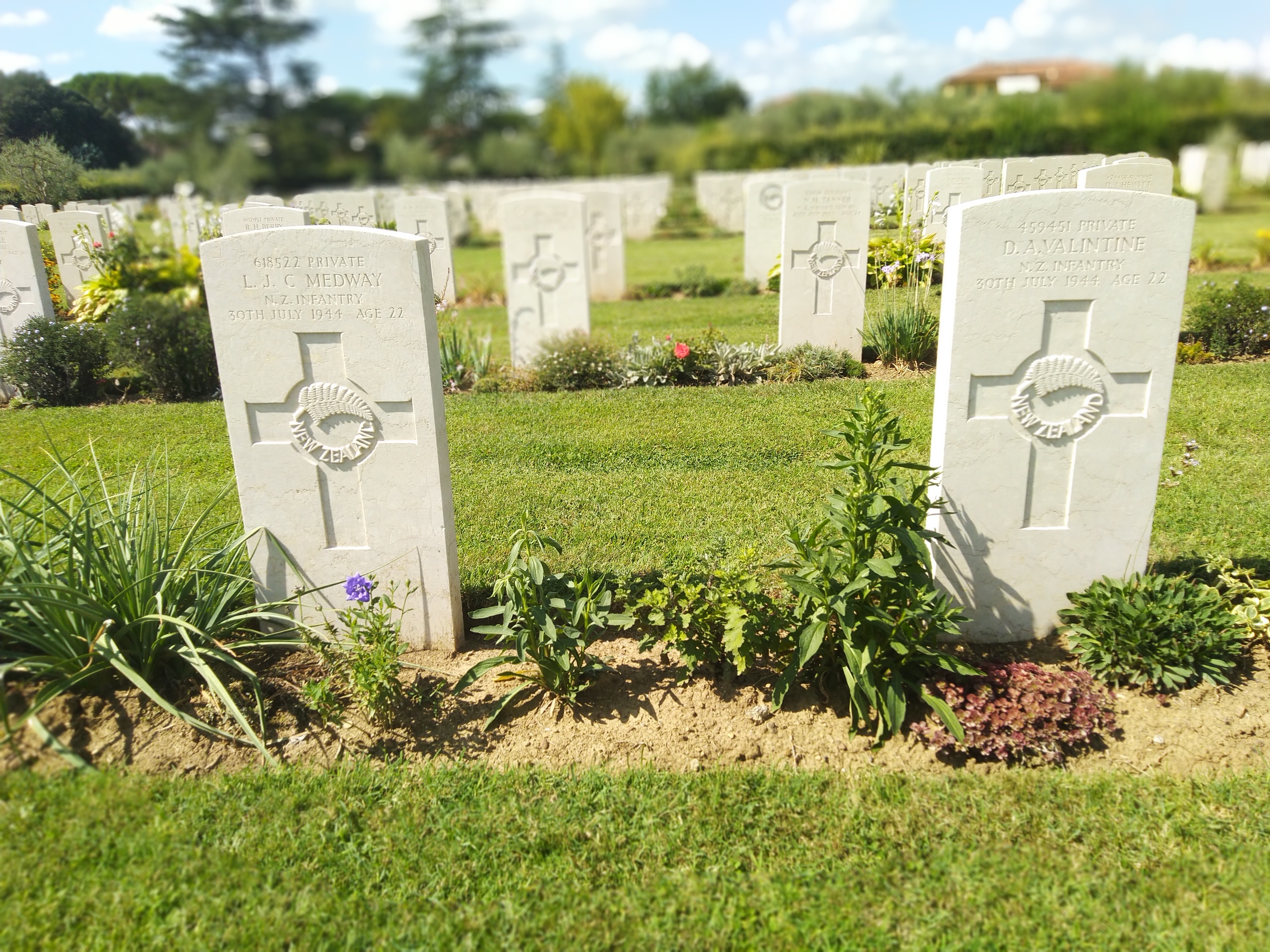 Fudge And Nuts Image 01