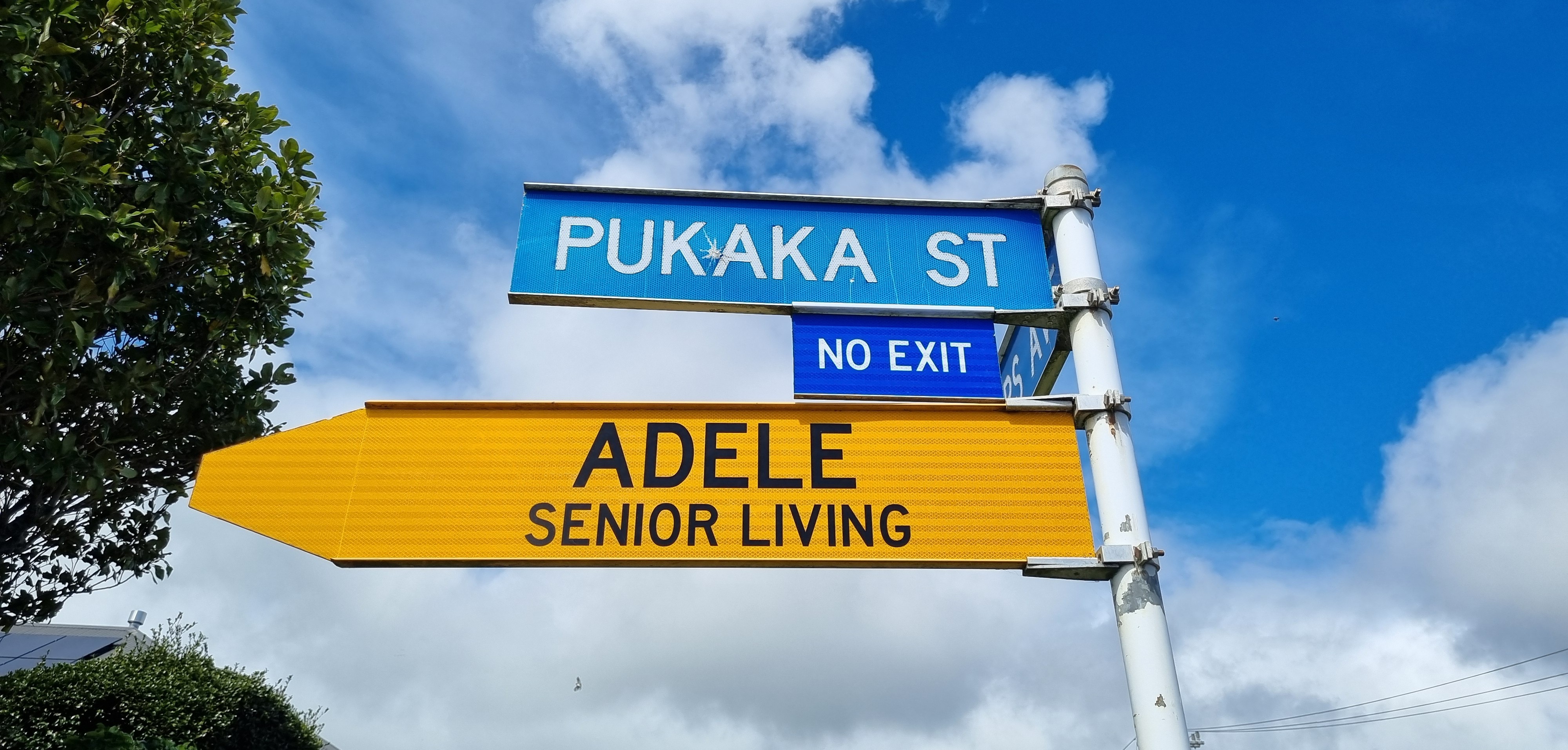 Pukaka Street Sign