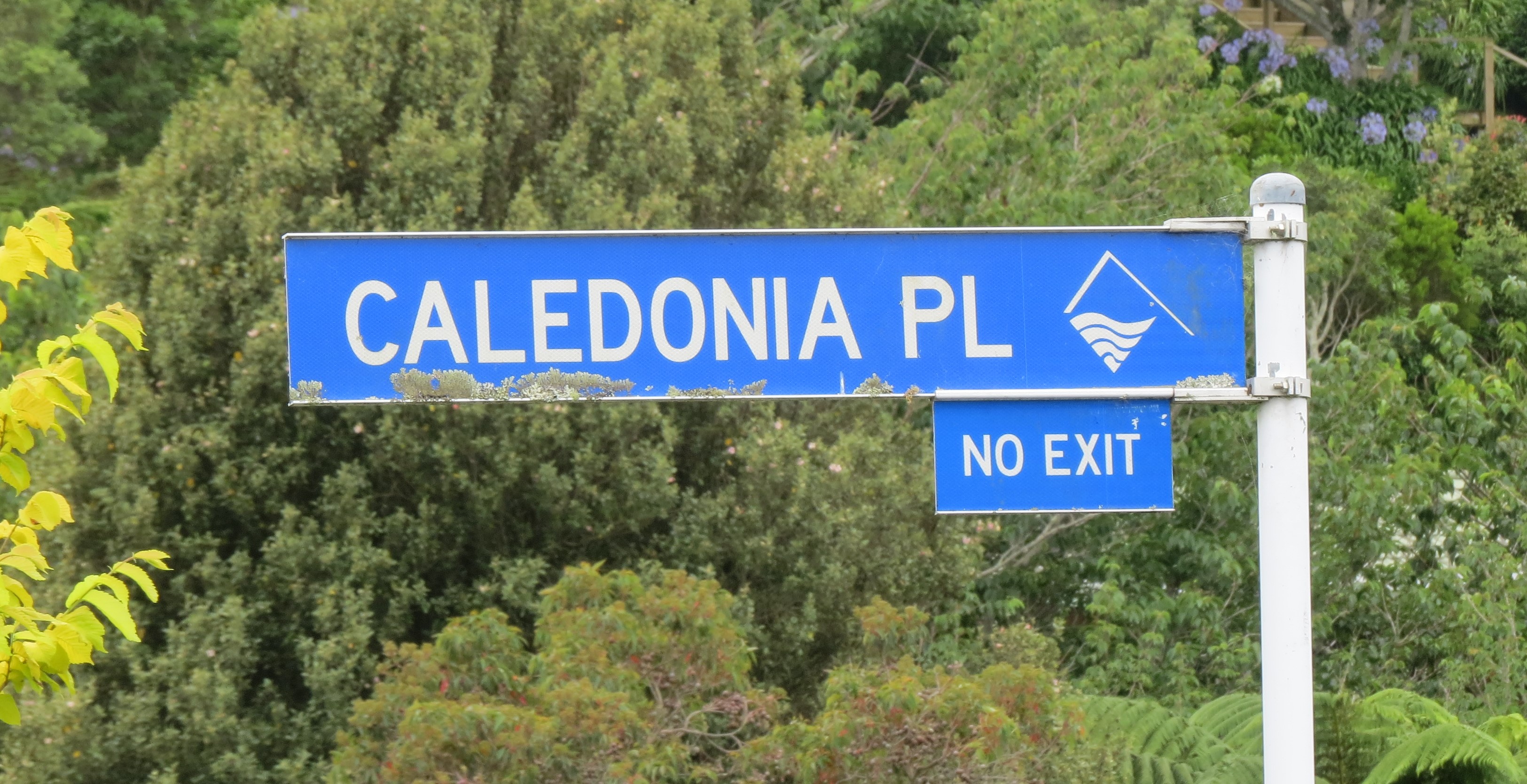 Caledonia Place street sign
