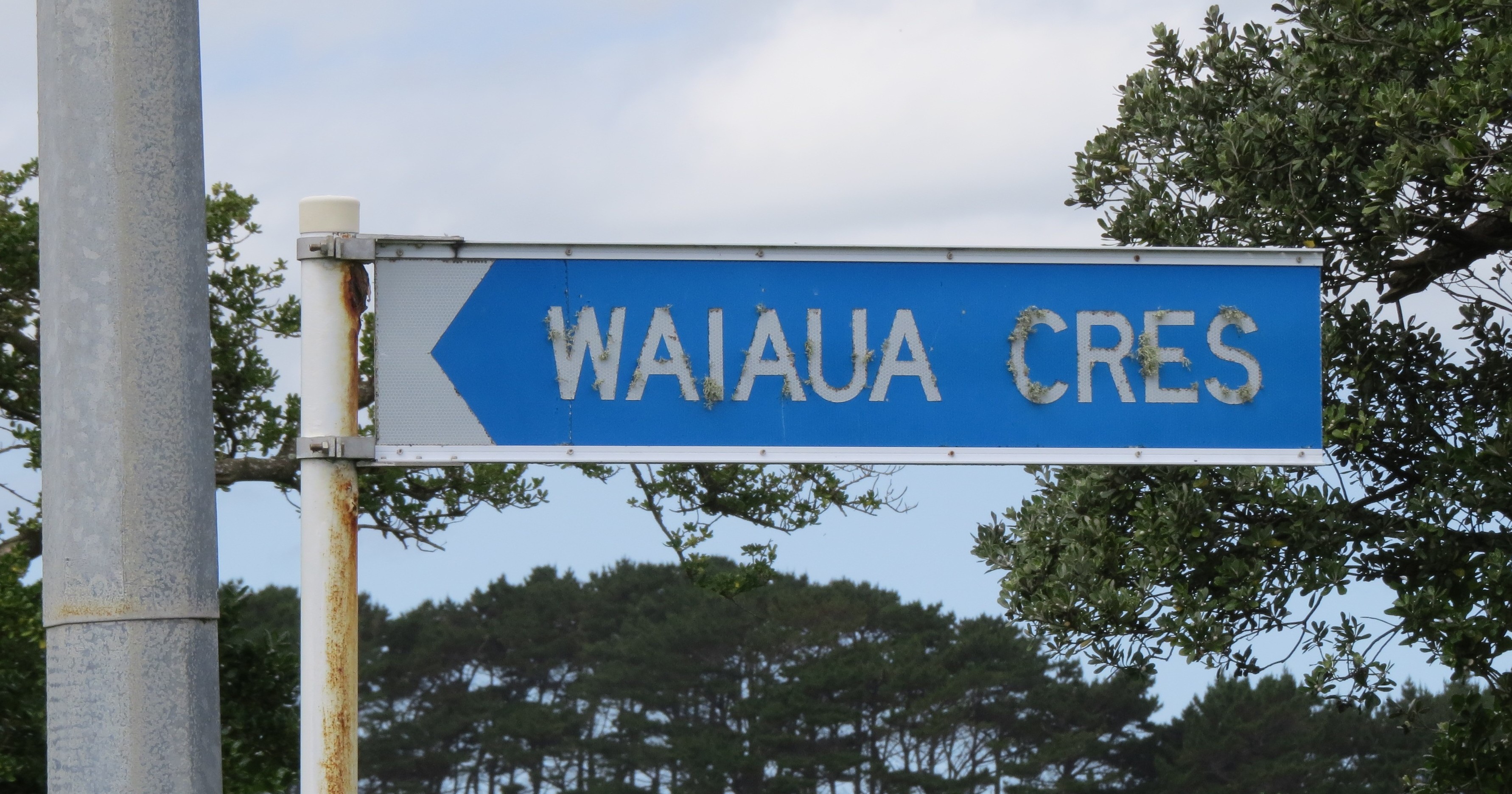 Waiaua Crescent (2025). Rachel Sonius. Word on the Street image collection.
