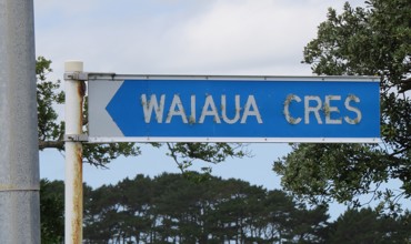 Waiaua Crescent (2025). Rachel Sonius. Word on the Street image collection.