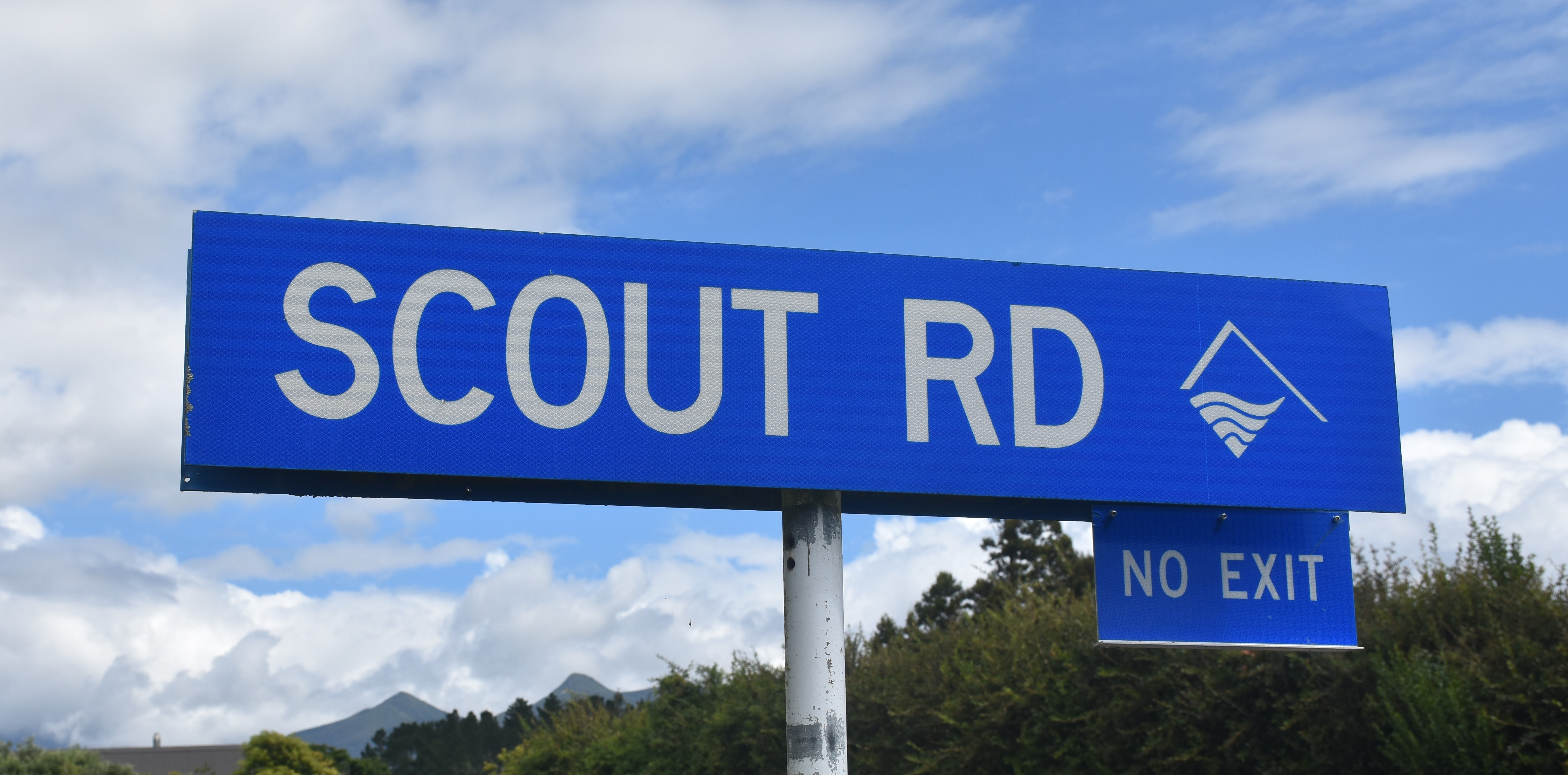 Scout Road For Web