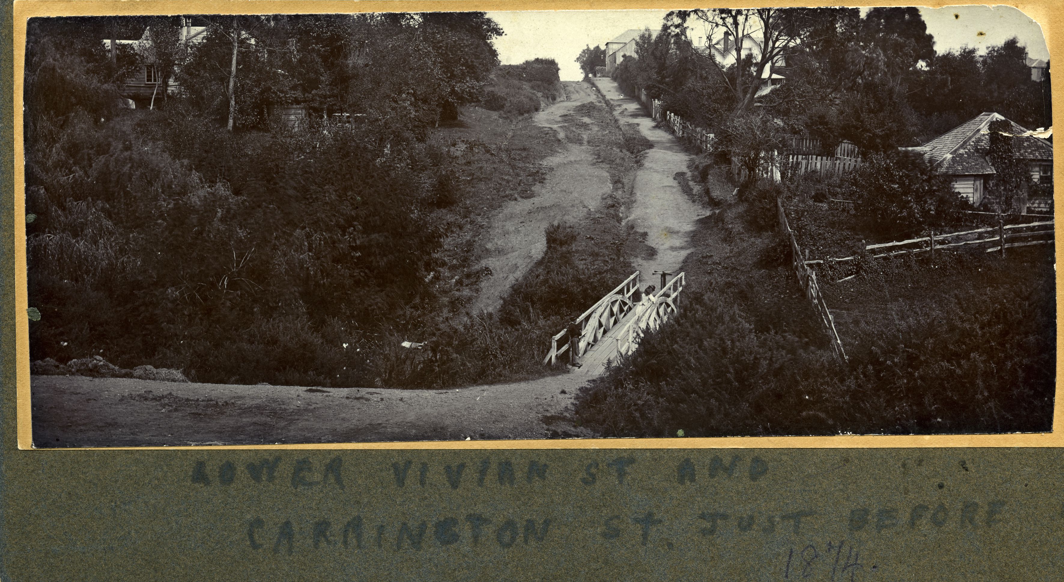 "Lower Vivian Street and Carrington Street circa 1874" (1874). Unknown photographer. Collection of Puke Ariki (PHO2007-300).