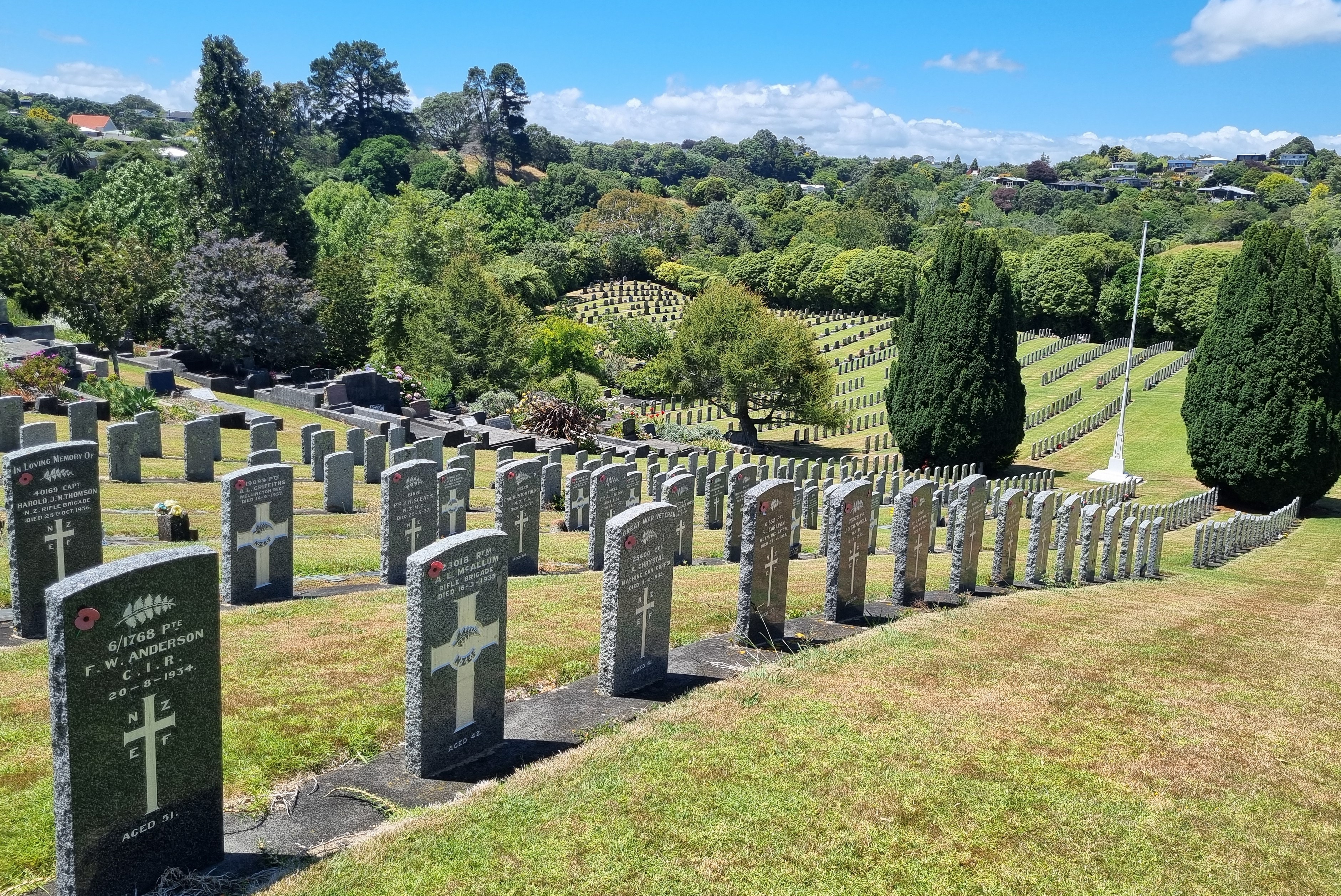 Service's Section, Te Henui