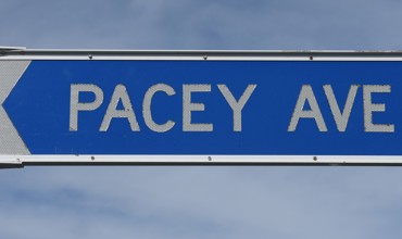 Pacey Ave Copy For Web