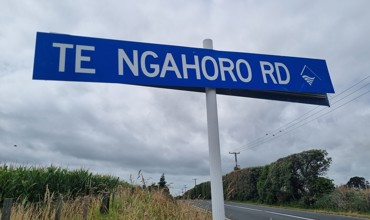 Te Ngahoro Rd Street Sign.