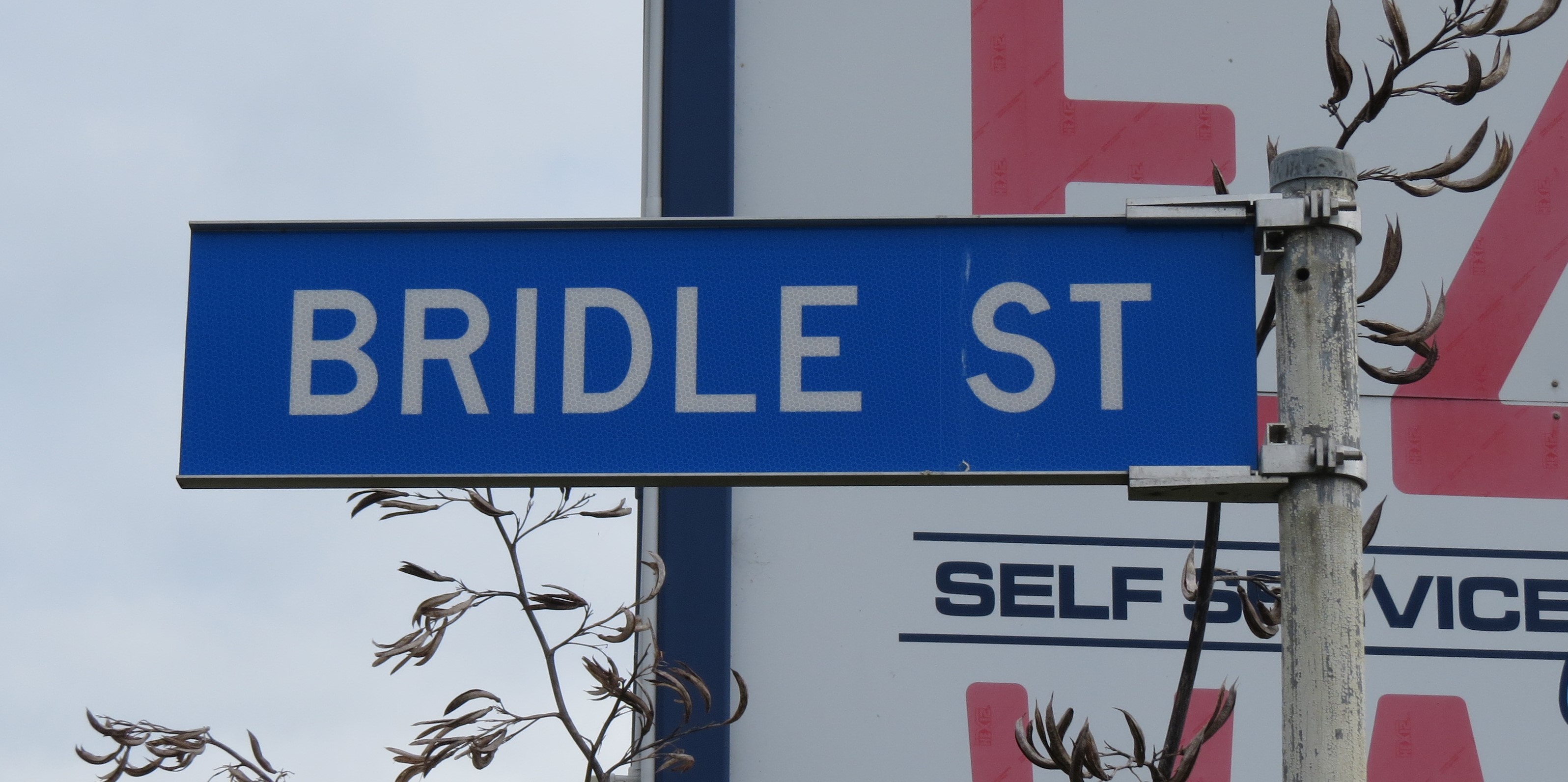Bridle Street sign (2024). Rachel Sonius. Word on the Street image collection.